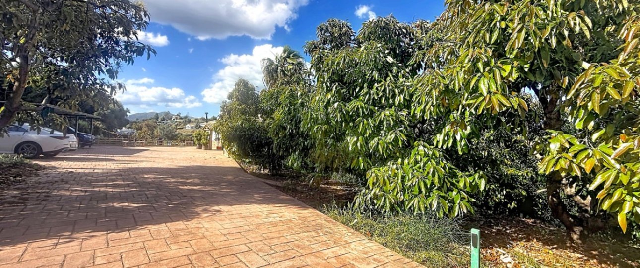 Rynek wtórny - Country house - Estepona - Estepona Centro