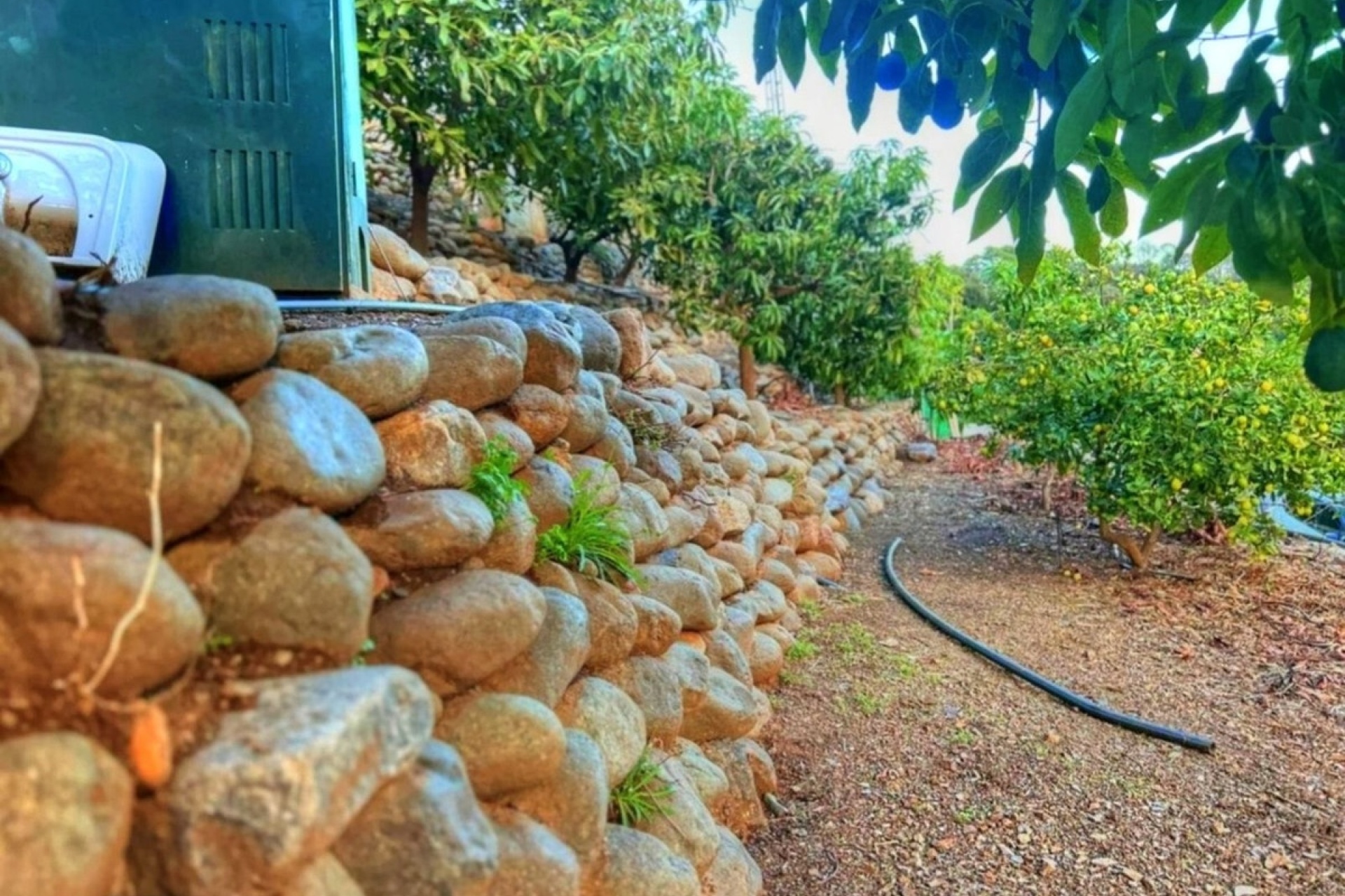 Rynek wtórny - Country house - Estepona - Estepona Centro