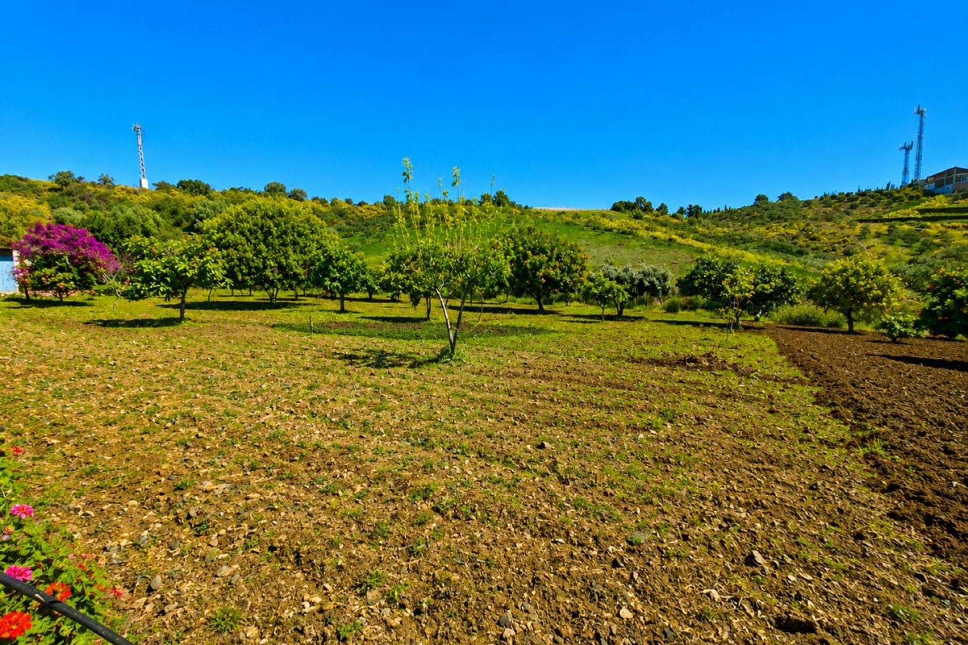 Rynek wtórny - Country house - Estepona - Estepona Centro