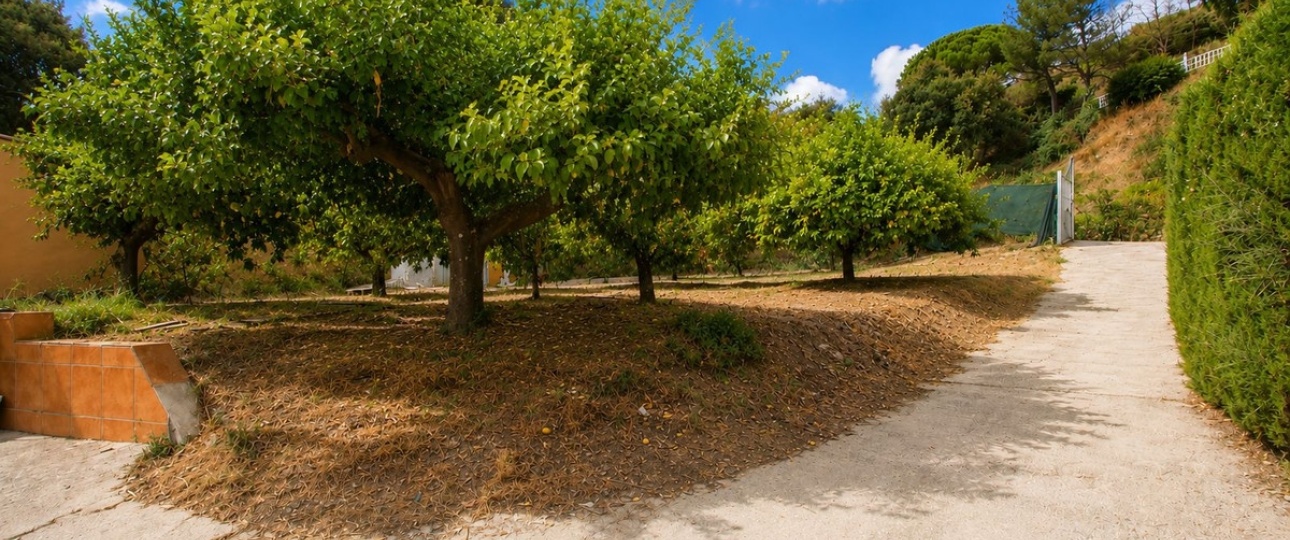 Rynek wtórny - Country house - Estepona - Estepona Centro