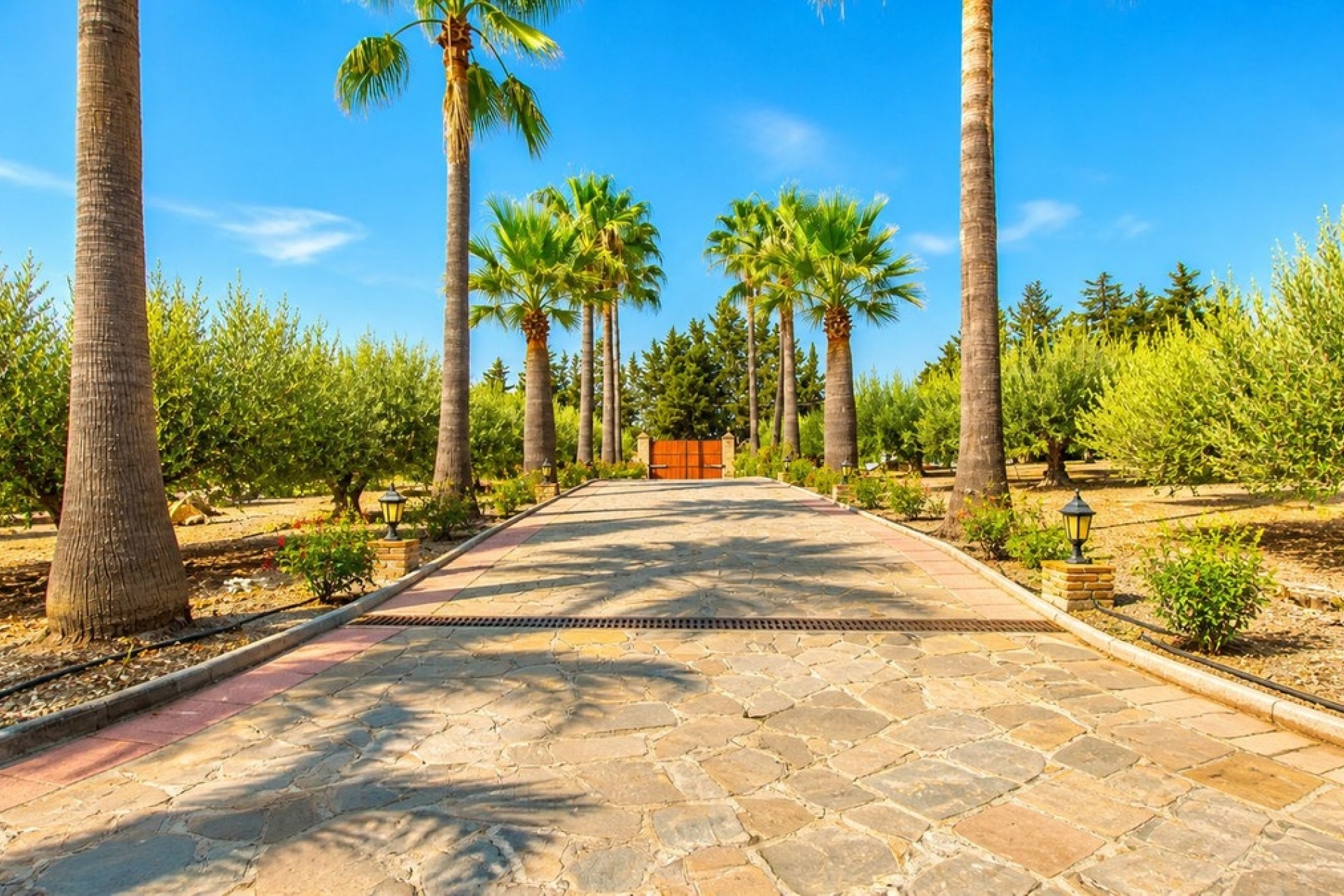 Rynek wtórny - Country house - Estepona - Estepona Centro