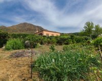 Rynek wtórny - Country house - Estepona - Estepona Centro