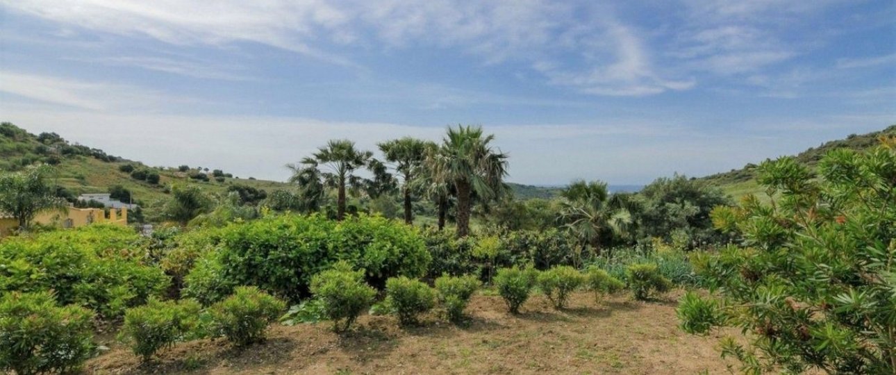Rynek wtórny - Country house - Estepona - Estepona Centro