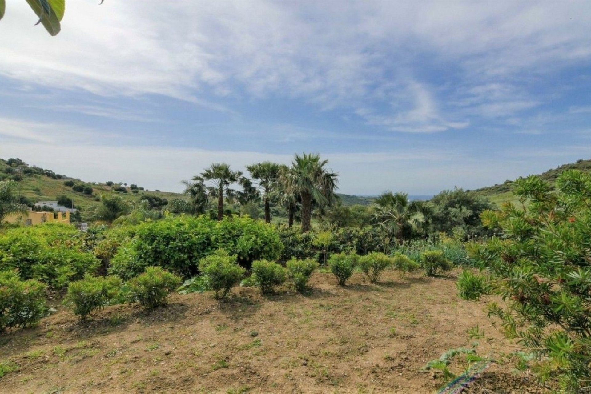 Rynek wtórny - Country house - Estepona - Estepona Centro