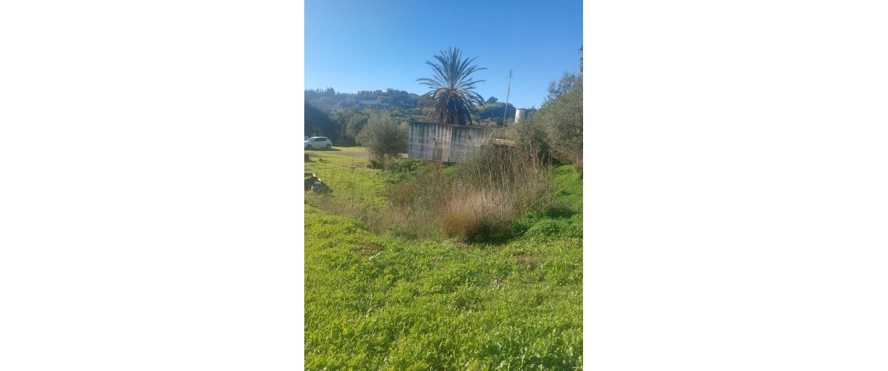 Rynek wtórny - Country house - Estepona - Estepona Centro