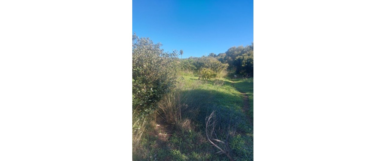 Rynek wtórny - Country house - Estepona - Estepona Centro