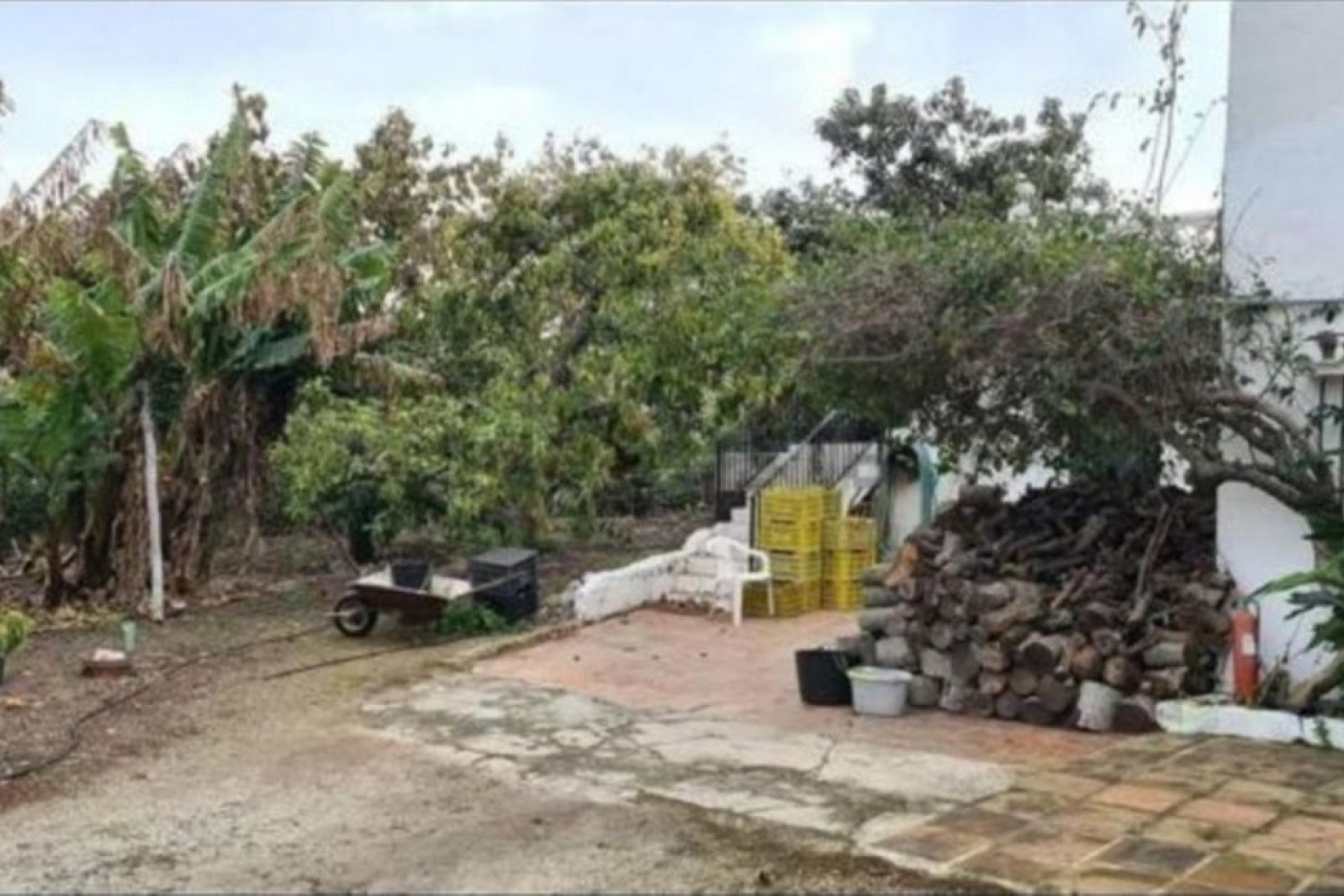 Rynek wtórny - Country house - Mijas - Campo Mijas