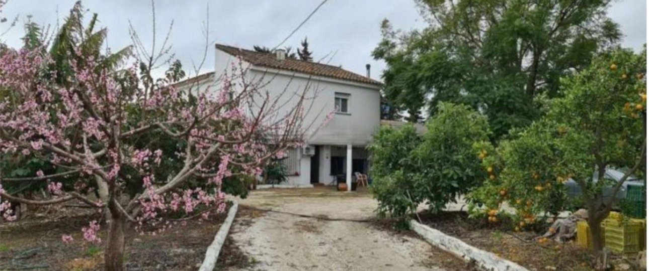 Rynek wtórny - Country house - Mijas - Campo Mijas
