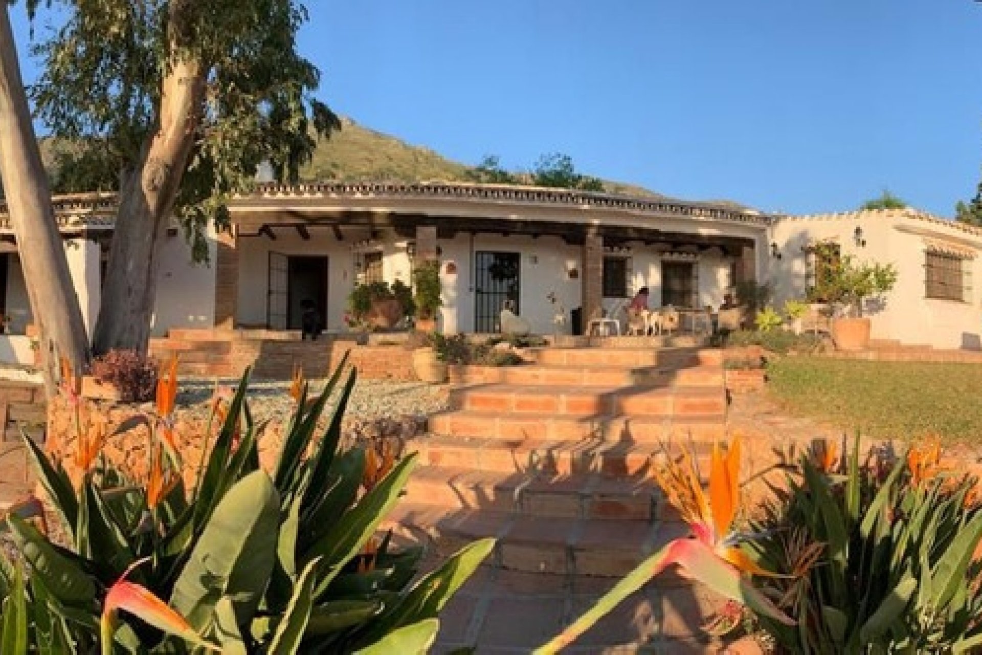 Rynek wtórny - Country house - Mijas - Mijas Centro