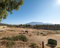 Rynek wtórny - Country house - Mijas - Mijas Costa