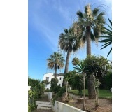Rynek wtórny - Town house - Estepona - Bel Air