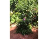 Rynek wtórny - Town house - Estepona - Estepona Centro
