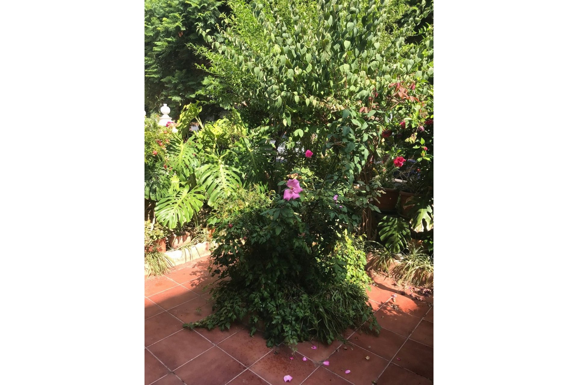 Rynek wtórny - Town house - Estepona - Estepona Centro