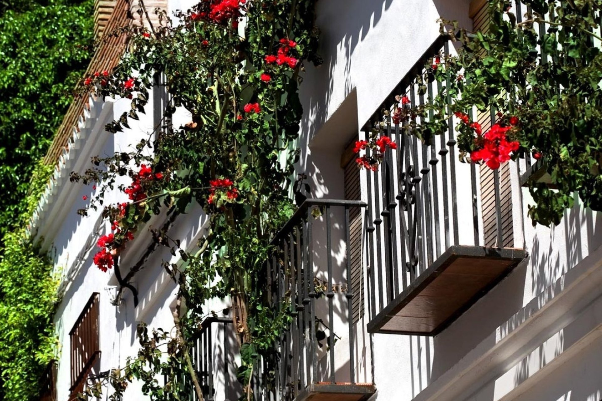 Rynek wtórny - Town house - Marbella - Marbella Centro