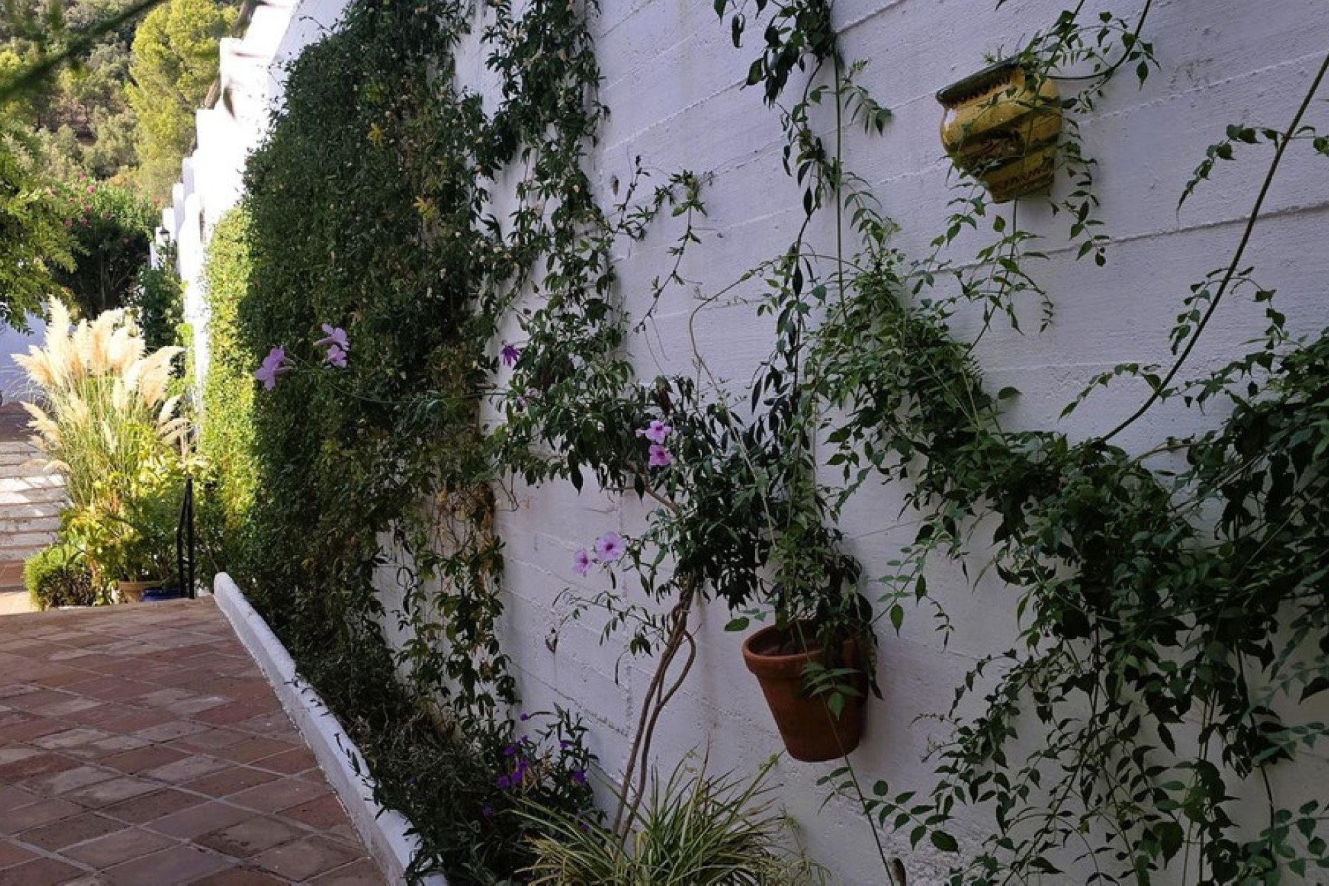 Rynek wtórny - Town house - Marbella - Marbella Centro