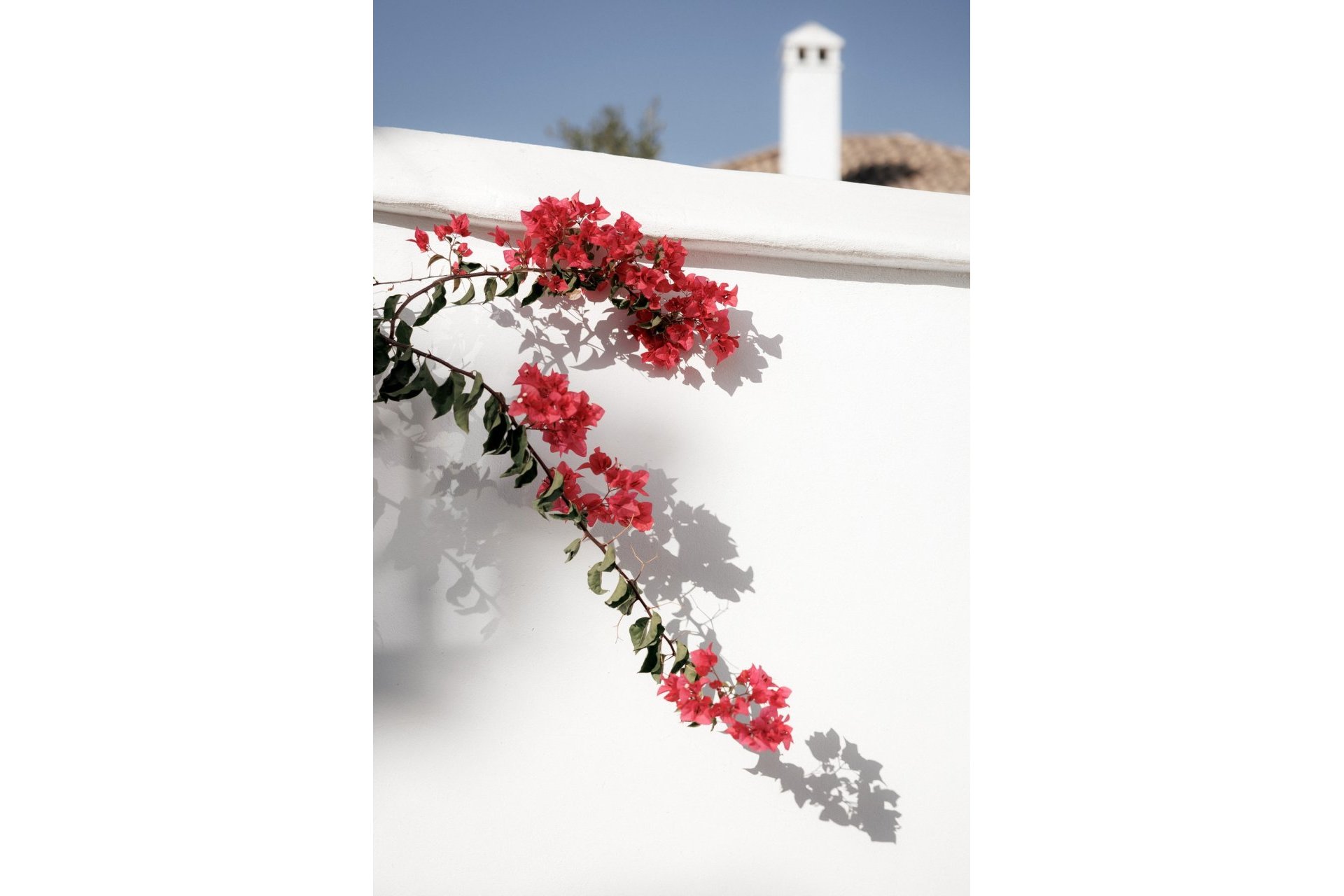 Rynek wtórny - Town house - Marbella - Nueva Andalucía