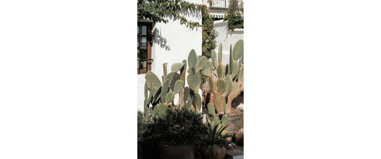 Rynek wtórny - Town house - Marbella - Nueva Andalucía