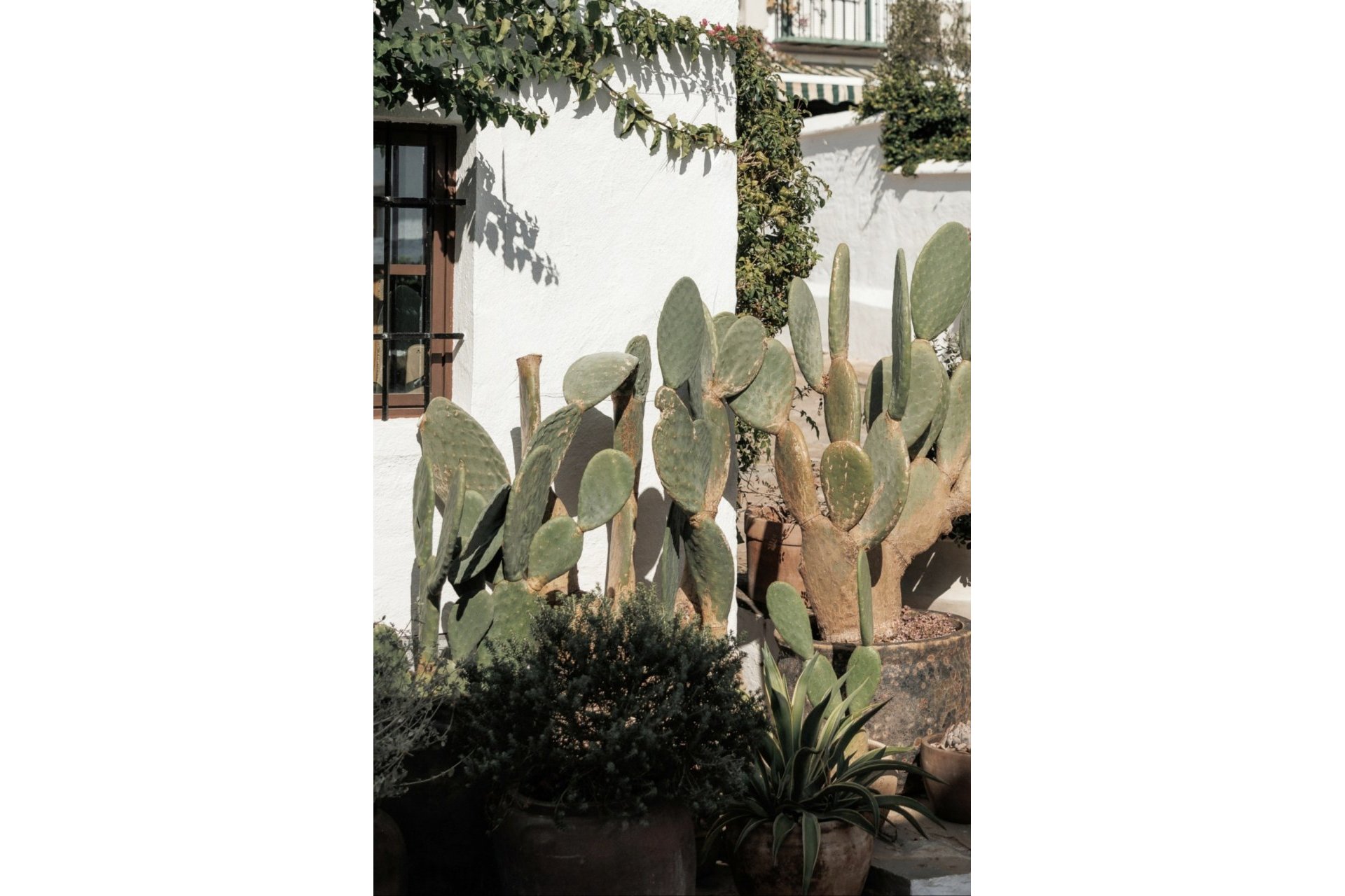 Rynek wtórny - Town house - Marbella - Nueva Andalucía