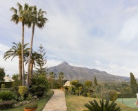 Rynek wtórny - Town house - Marbella - Nueva Andalucía