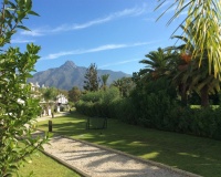 Rynek wtórny - Town house - Marbella - Nueva Andalucía