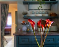 Rynek wtórny - Town house - Marbella - San Pedro de Alcántara