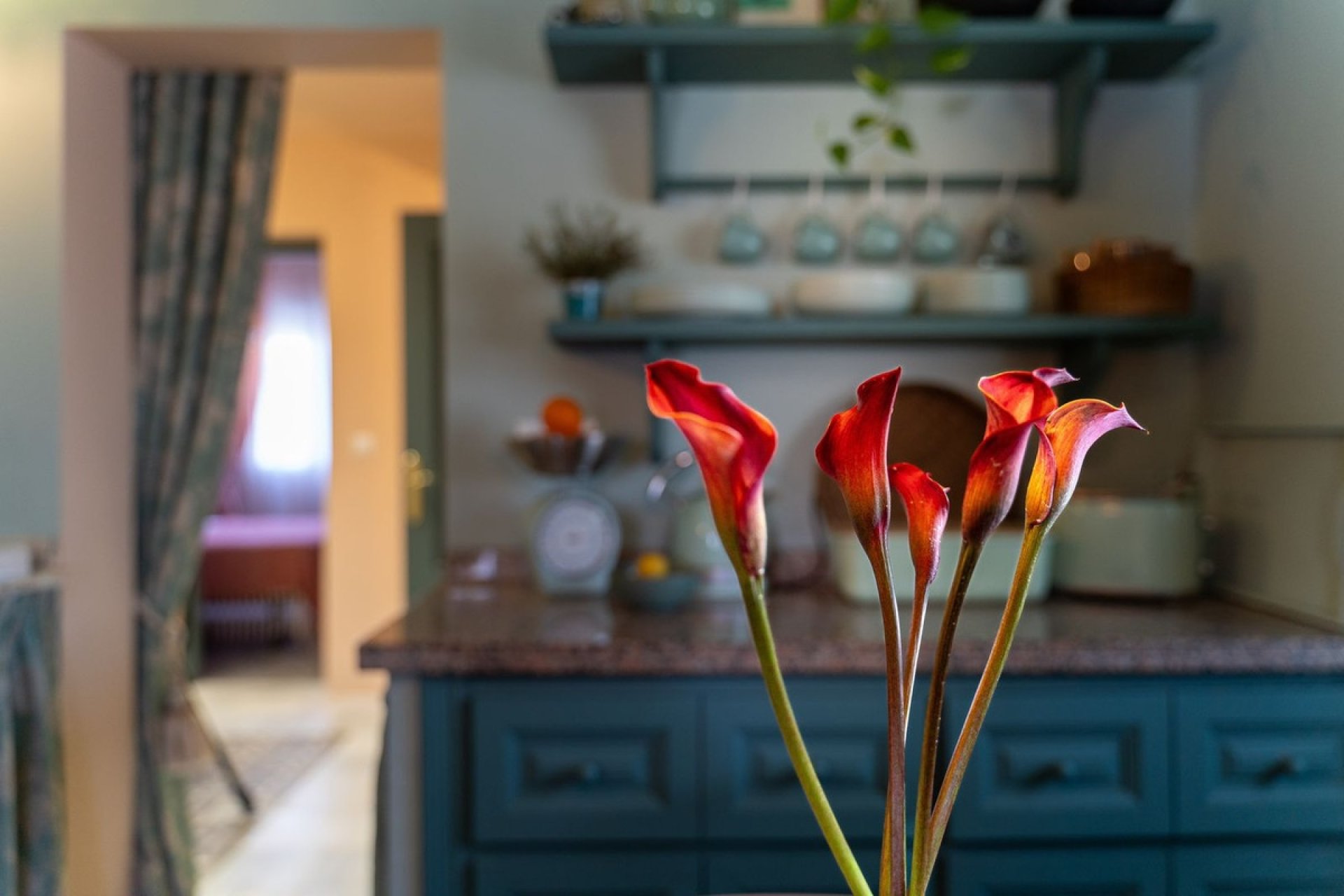 Rynek wtórny - Town house - Marbella - San Pedro de Alcántara