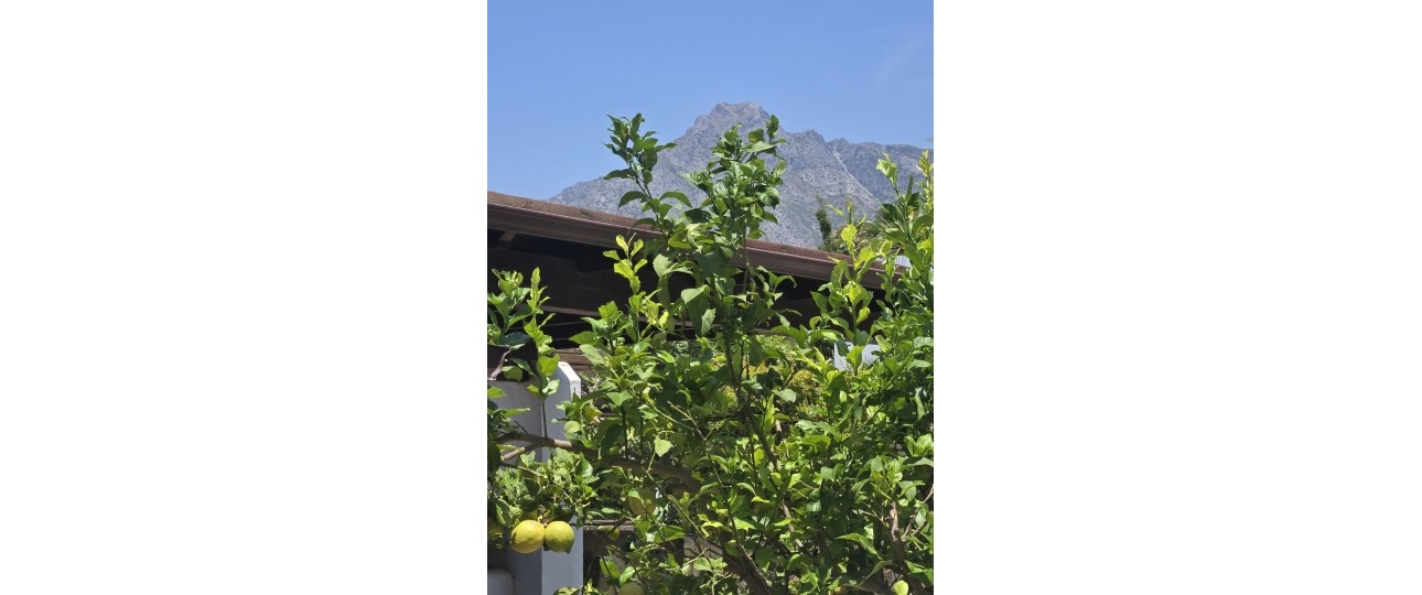 Rynek wtórny - Town house - Marbella - The Golden Mile