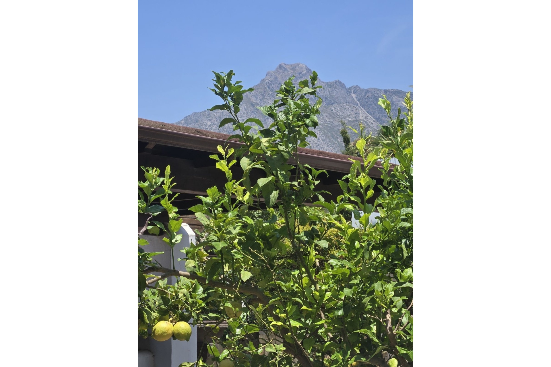 Rynek wtórny - Town house - Marbella - The Golden Mile