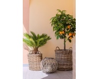 Rynek wtórny - Town house - Orihuela - Orihuela Costa