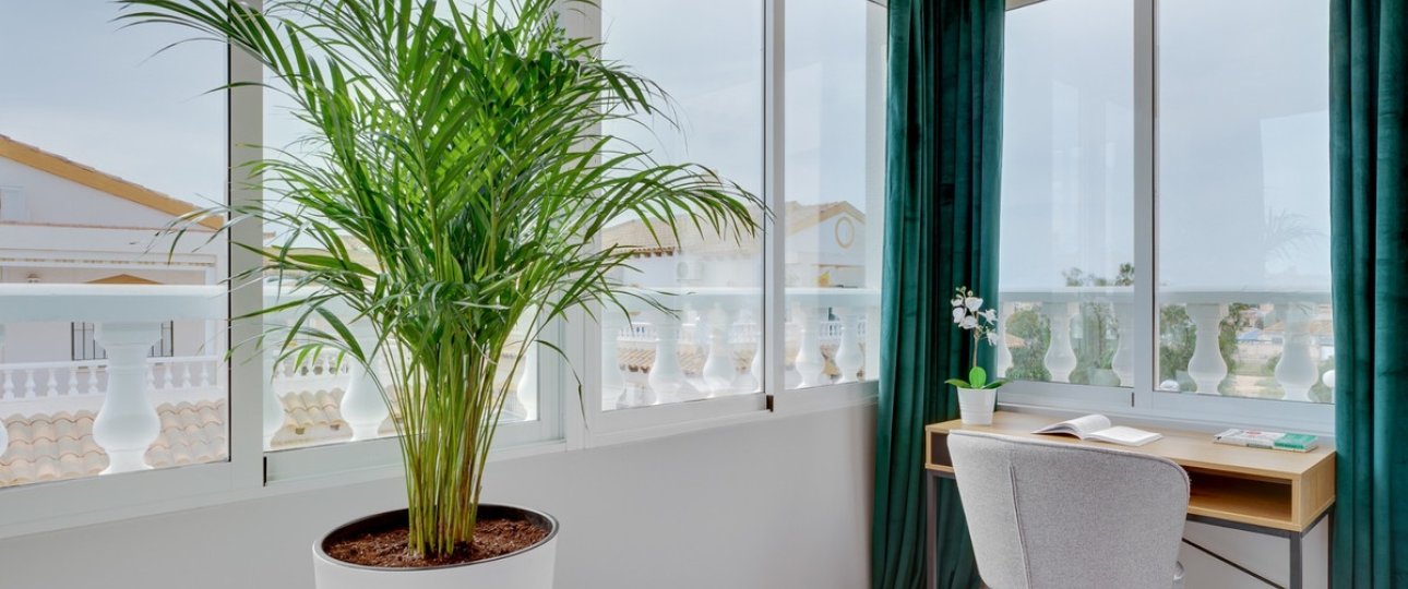 Rynek wtórny - Town house - Orihuela - Orihuela Costa