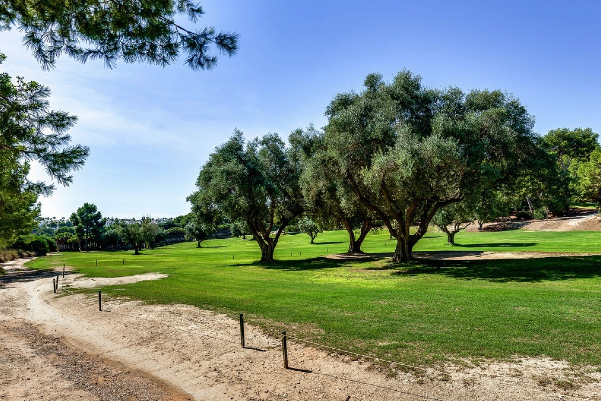 Rynek wtórny - Town house - Orihuela - Orihuela Costa