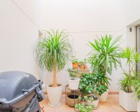 Rynek wtórny - Town house - Orihuela - Punta Prima