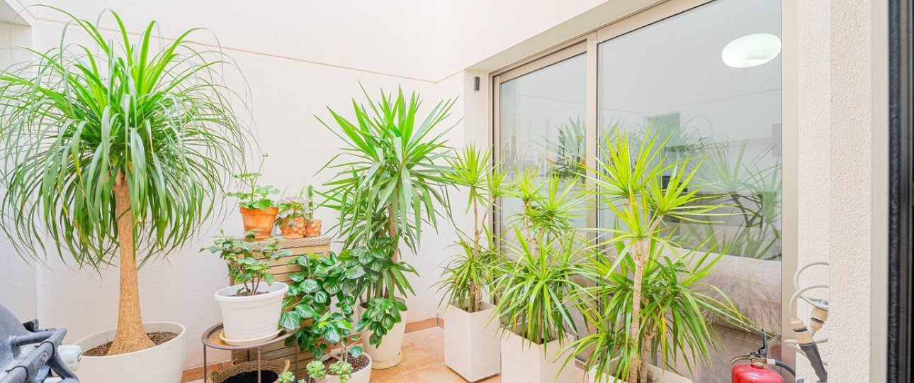 Rynek wtórny - Town house - Orihuela - Punta Prima