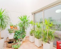 Rynek wtórny - Town house - Orihuela - Punta Prima
