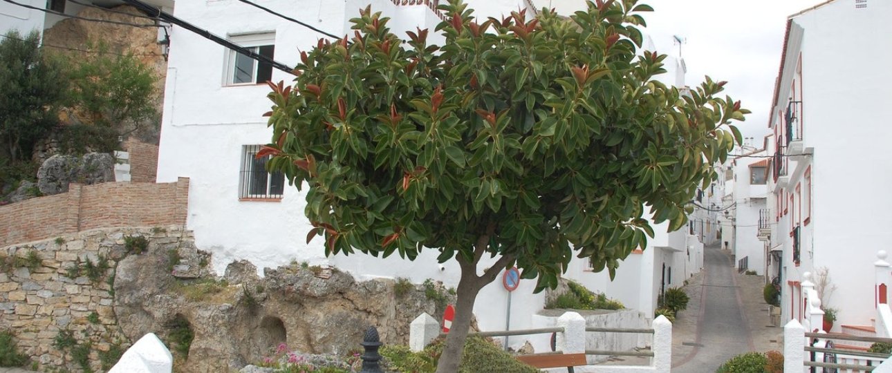 Rynek wtórny - Villa - Casares - Casares Centro
