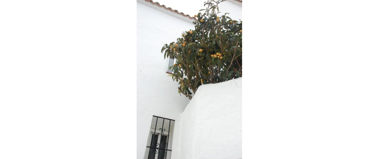 Rynek wtórny - Villa - Casares - Casares Centro