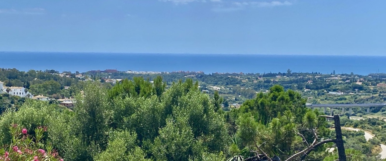 Rynek wtórny - Villa - Estepona - El Padron