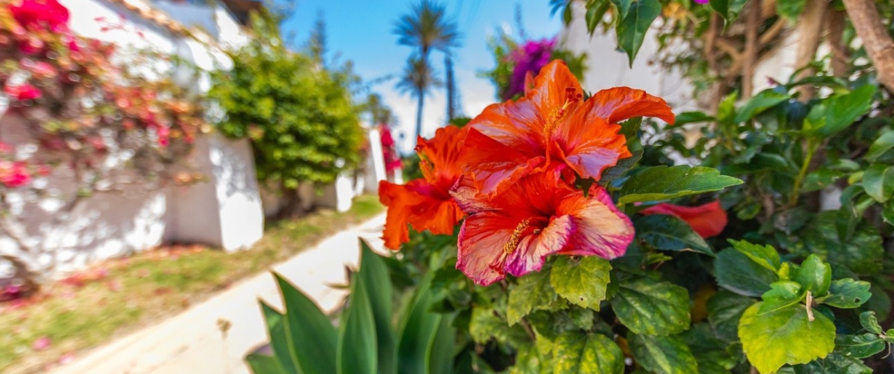 Rynek wtórny - Villa - Estepona - Estepona Centro