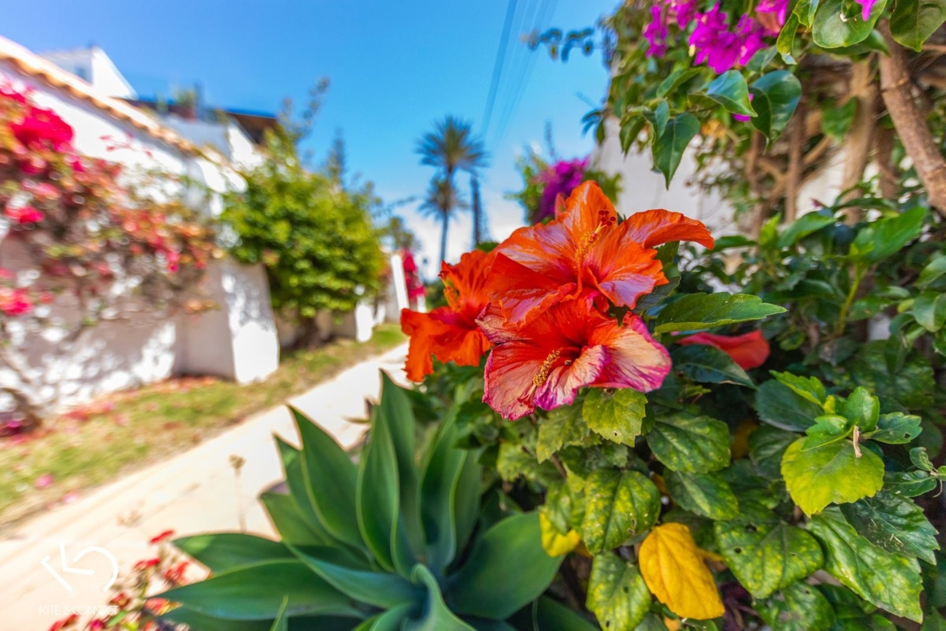 Rynek wtórny - Villa - Estepona - Estepona Centro