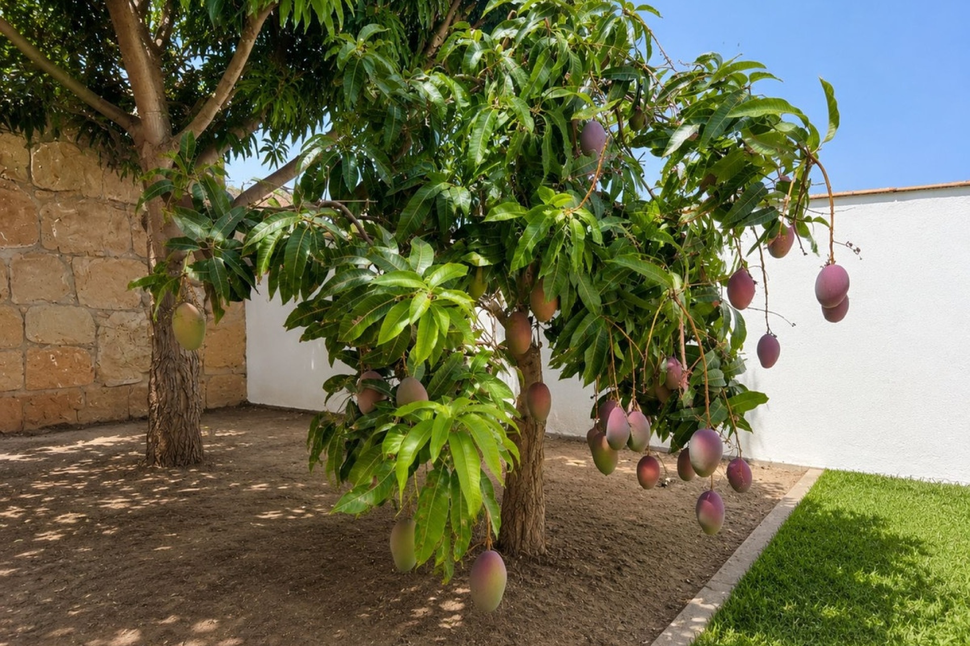 Rynek wtórny - Villa - Estepona - Estepona Centro