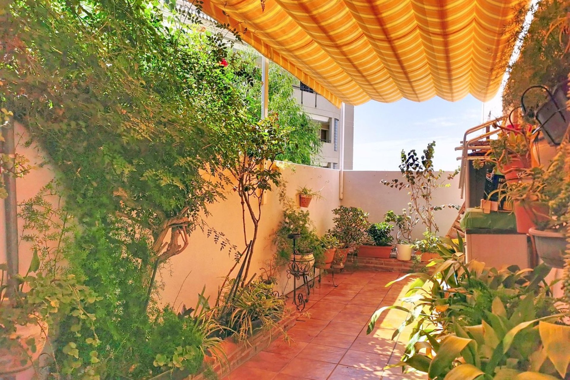 Rynek wtórny - Villa - Fuengirola - Fuengirola Centro