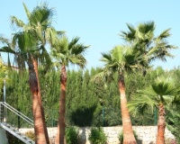 Rynek wtórny - Villa - Jávea - Xàbia - Jávea - Xàbia Centro