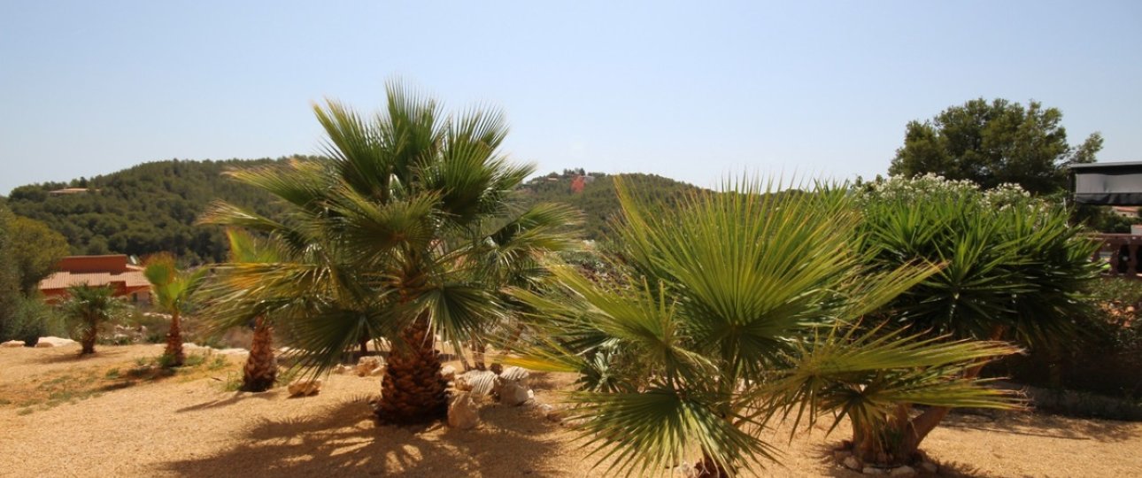 Rynek wtórny - Villa - Jávea - Xàbia - Jávea - Xàbia Centro