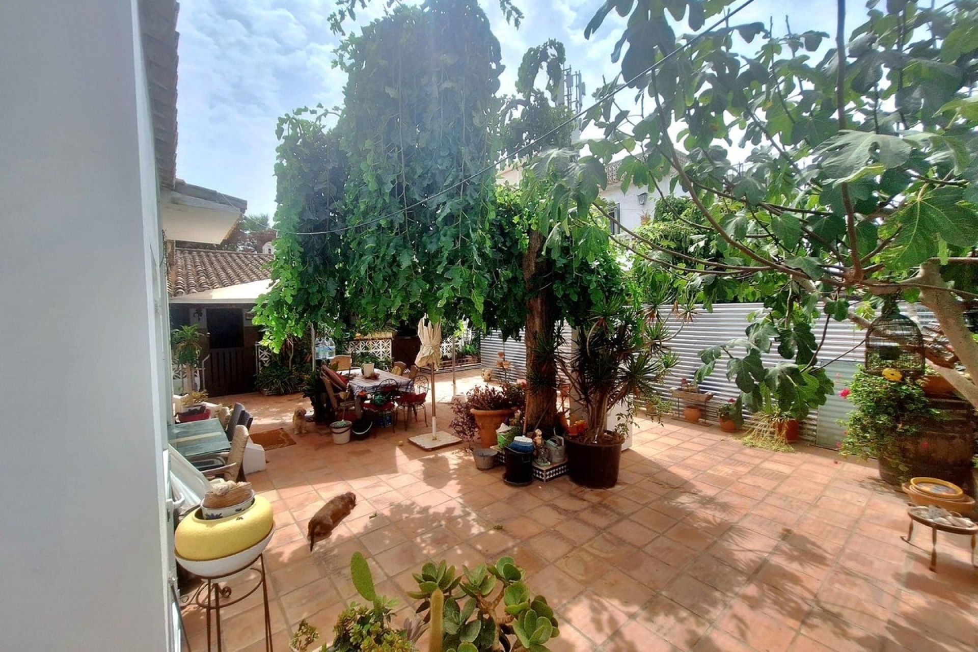 Rynek wtórny - Villa - Marbella - Costabella