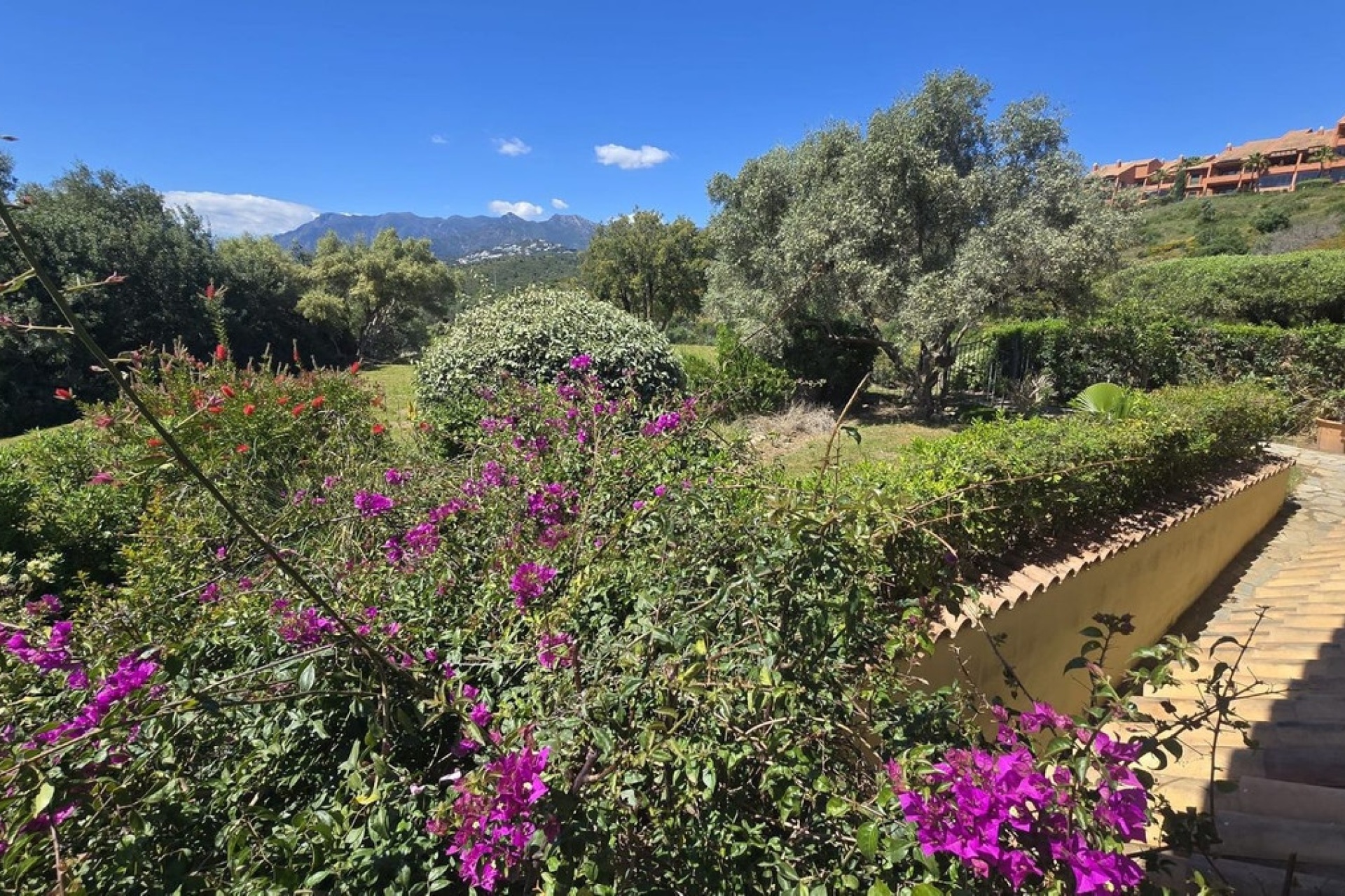 Rynek wtórny - Villa - Marbella - El Rosario