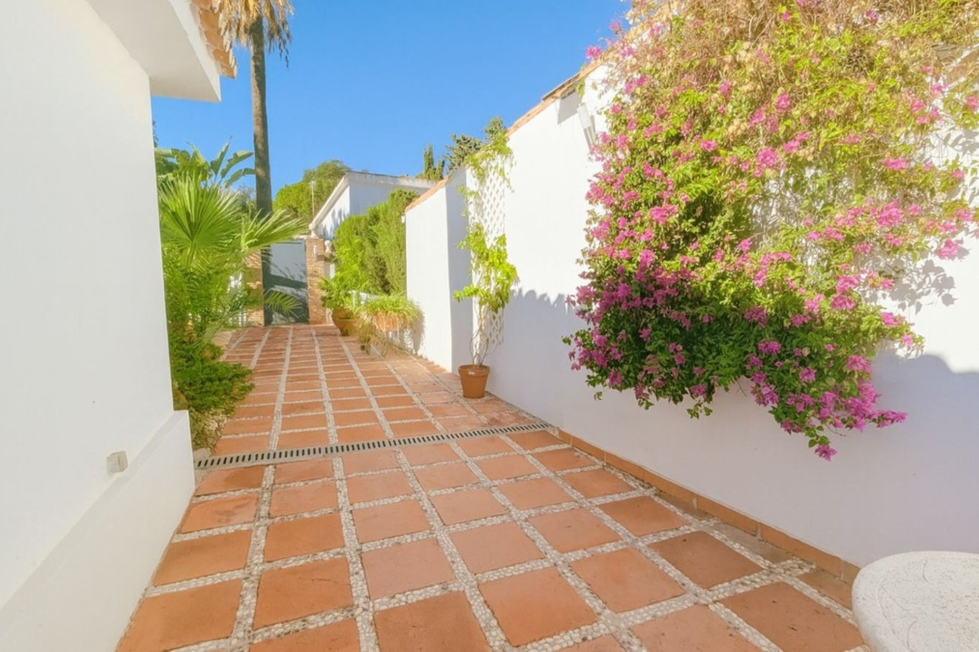 Rynek wtórny - Villa - Marbella - El Rosario