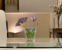 Rynek wtórny - Villa - Marbella - El Rosario