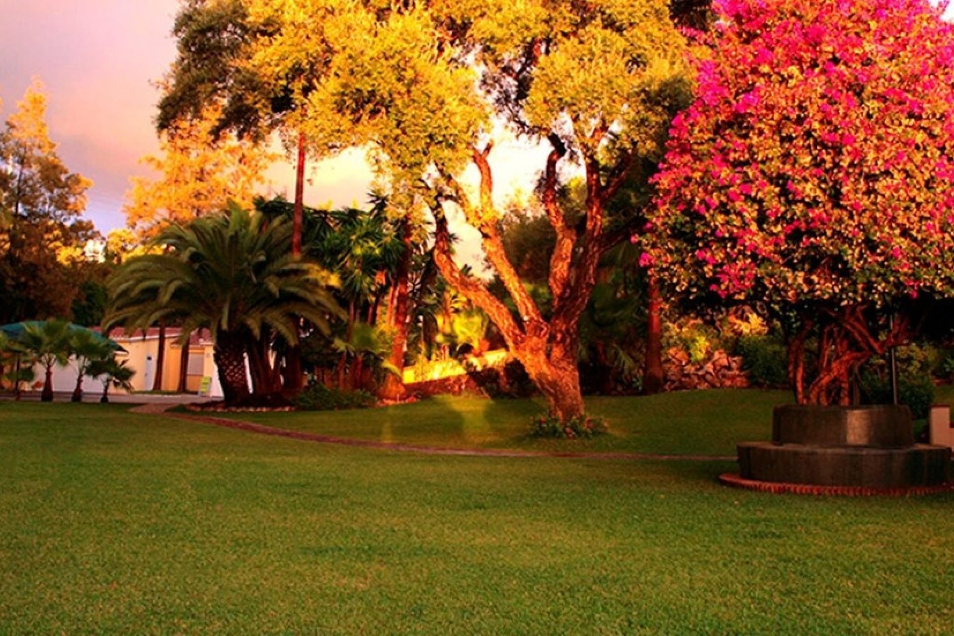Rynek wtórny - Villa - Marbella - Elviria