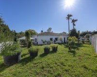 Rynek wtórny - Villa - Marbella - Guadalmina Alta