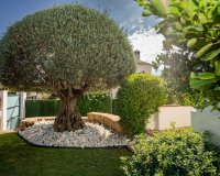 Rynek wtórny - Villa - Marbella - Guadalmina Baja